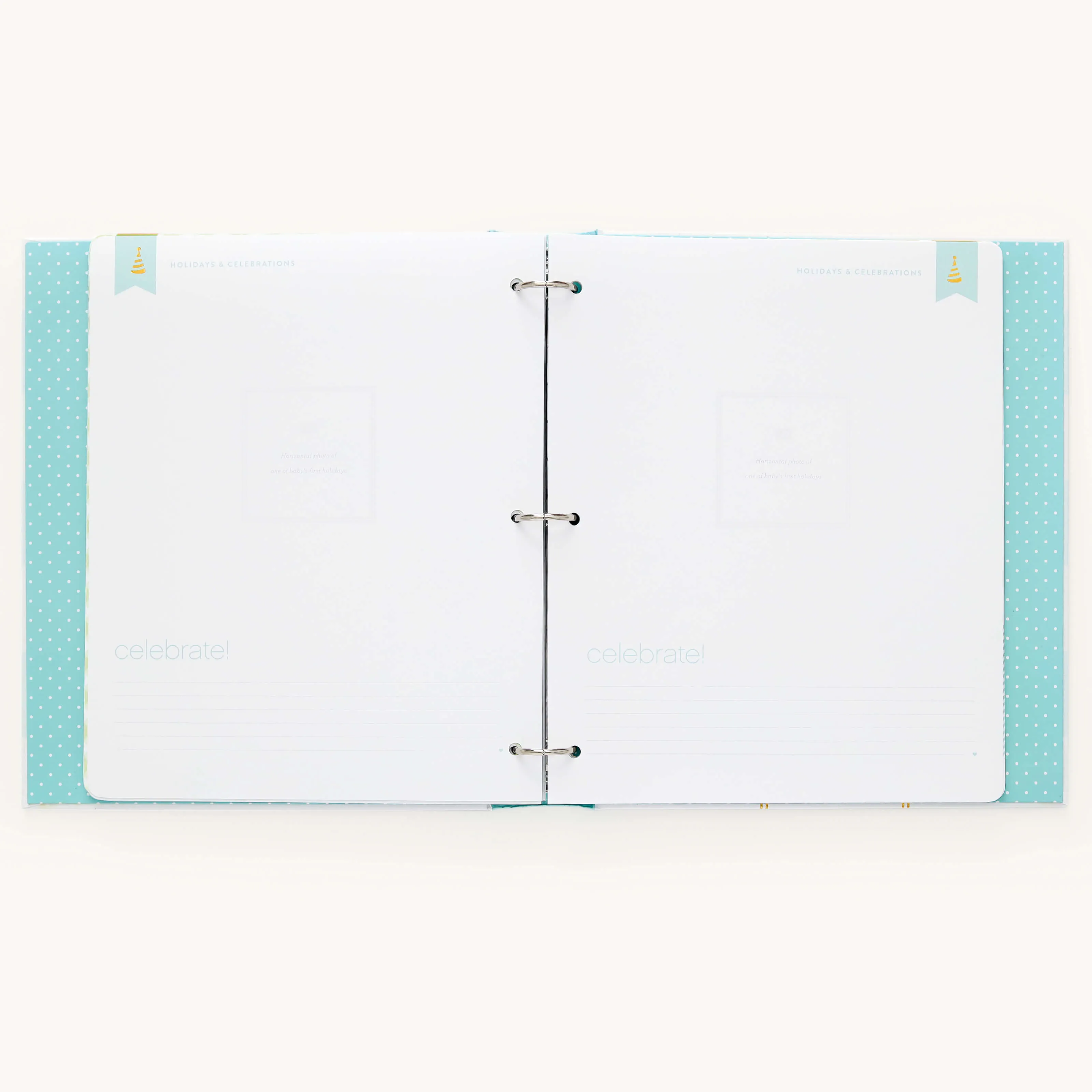 Baby Book - Mint