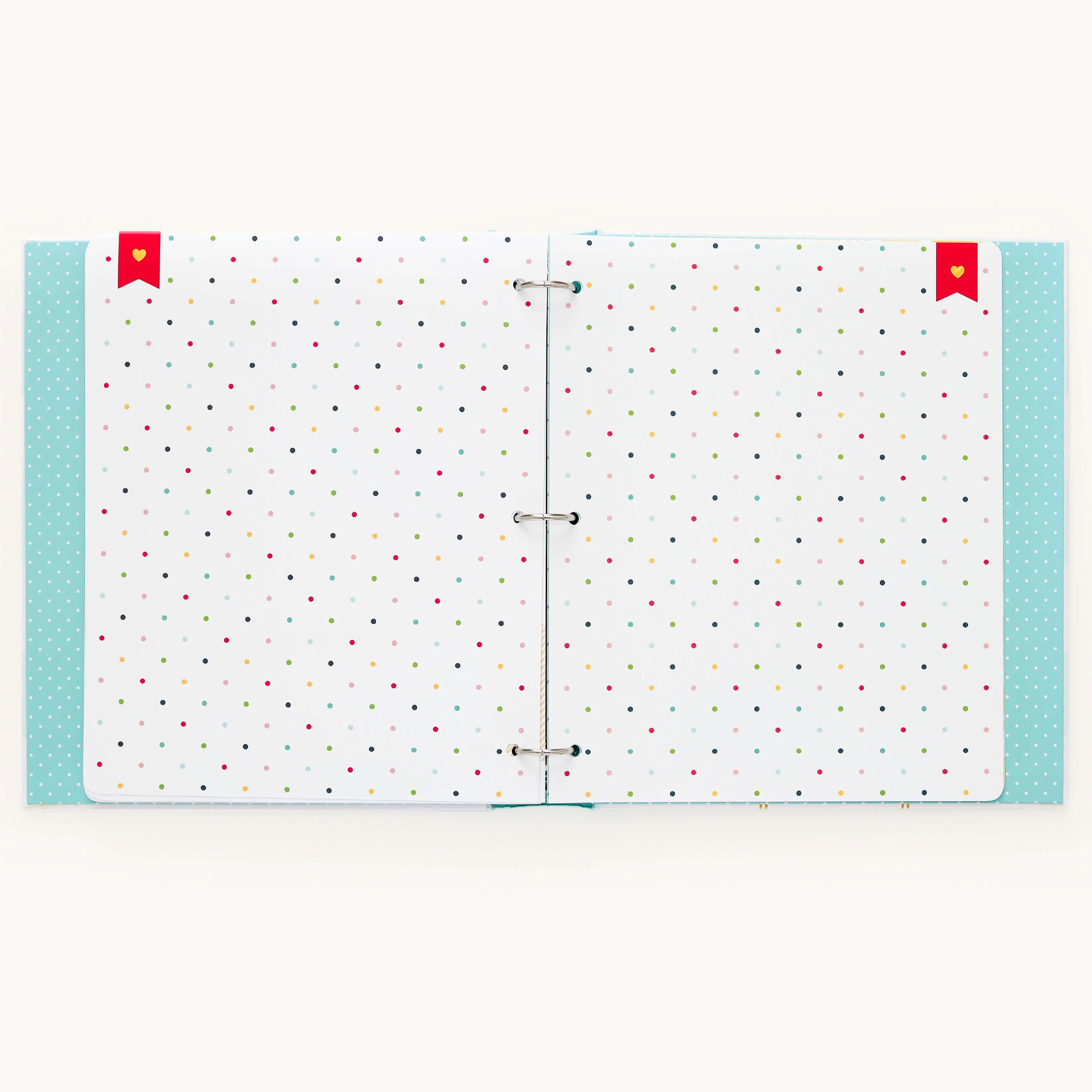 Baby Book - Mint