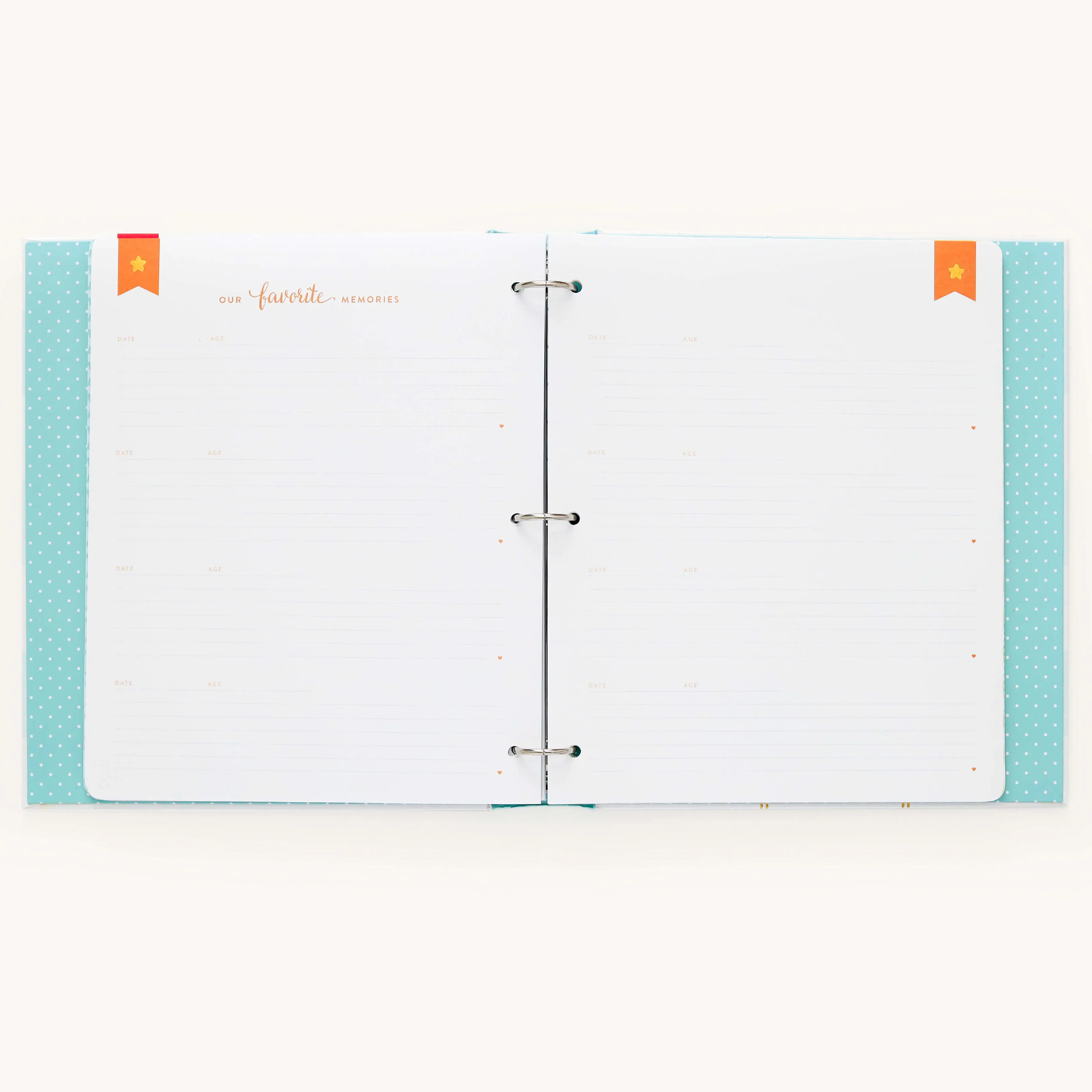 Baby Book - Mint