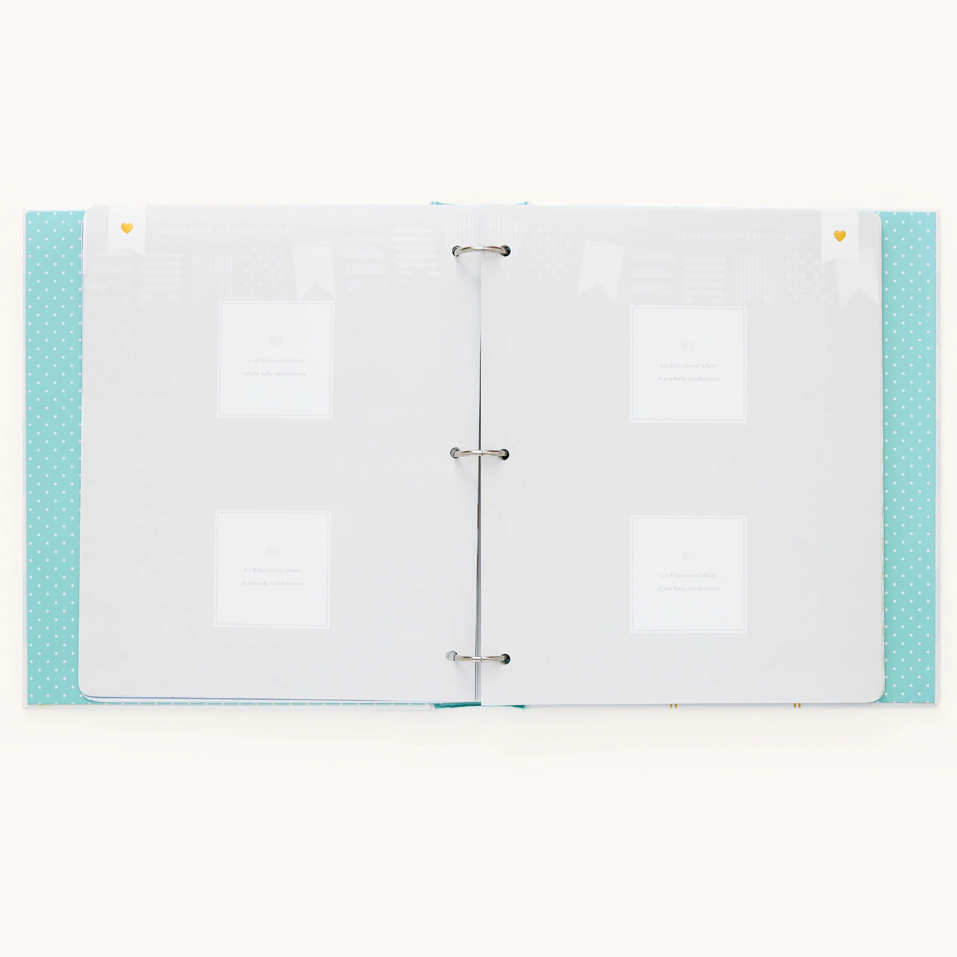 Baby Book - Mint