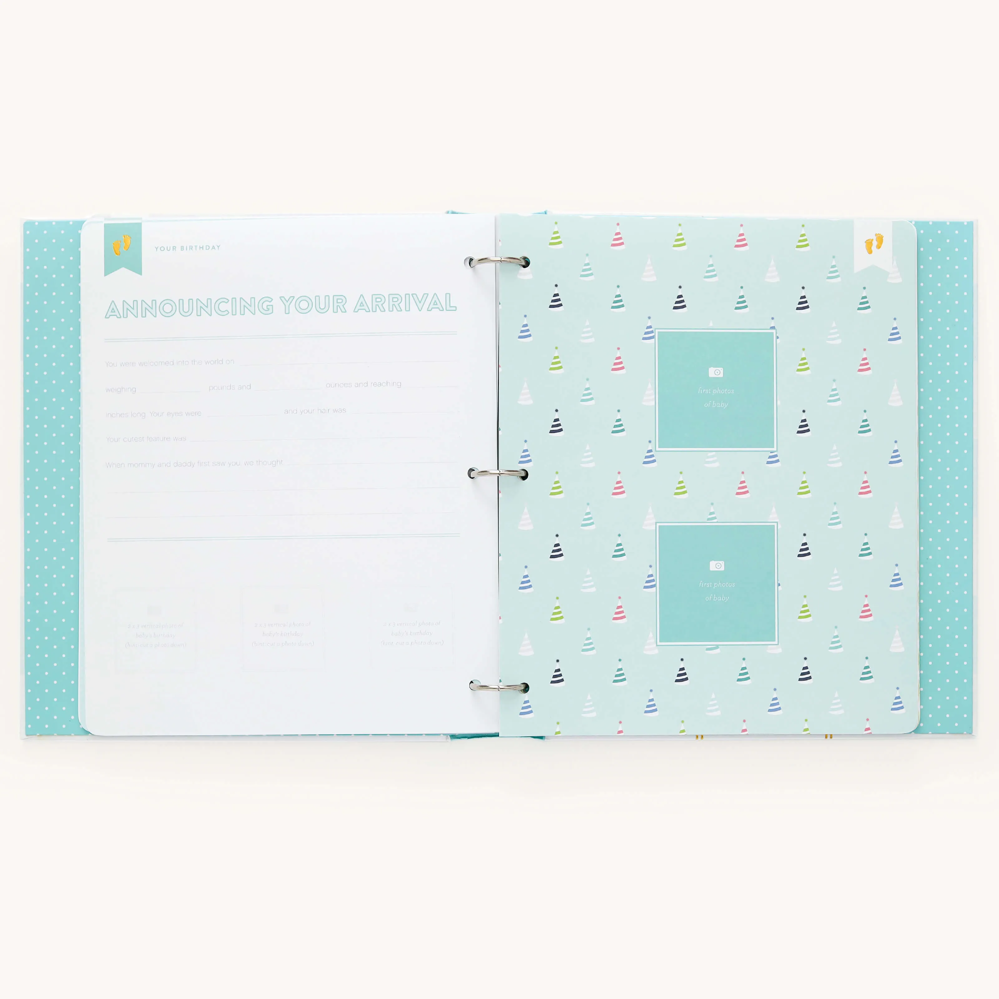 Baby Book - Mint