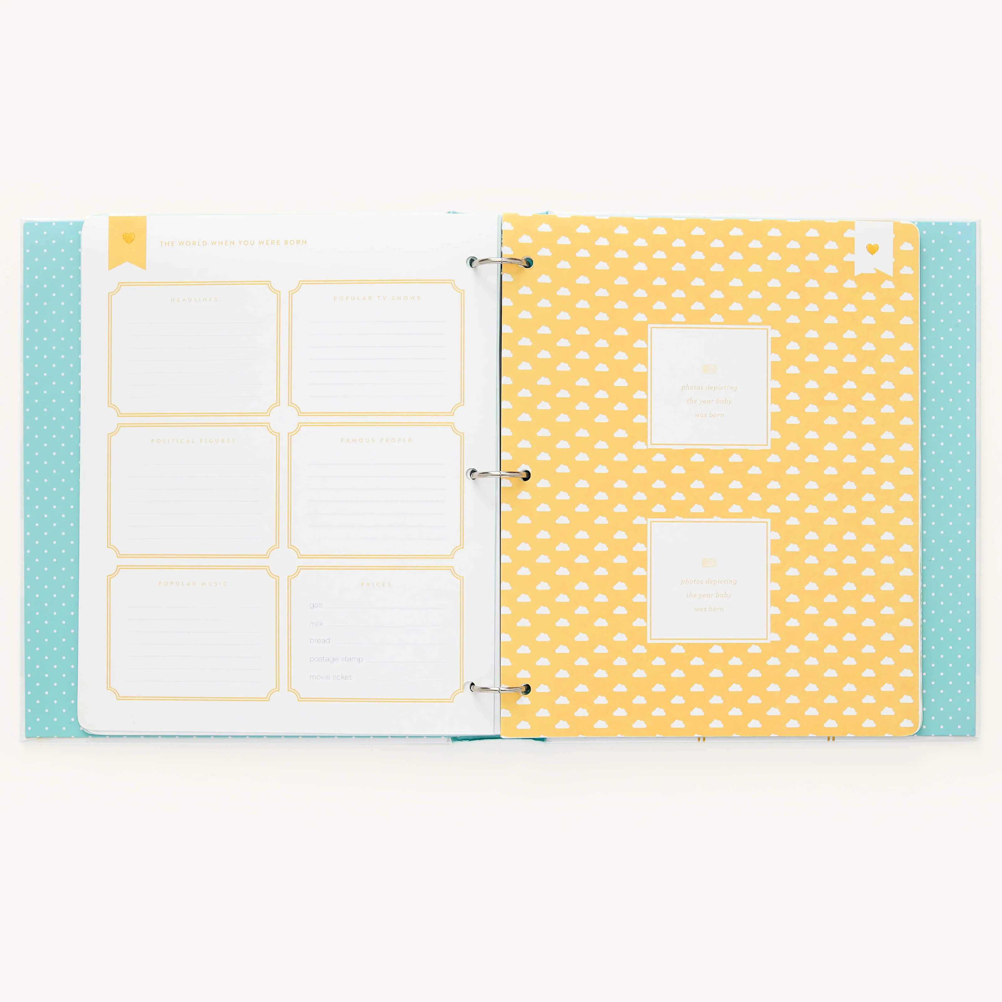 Baby Book - Mint