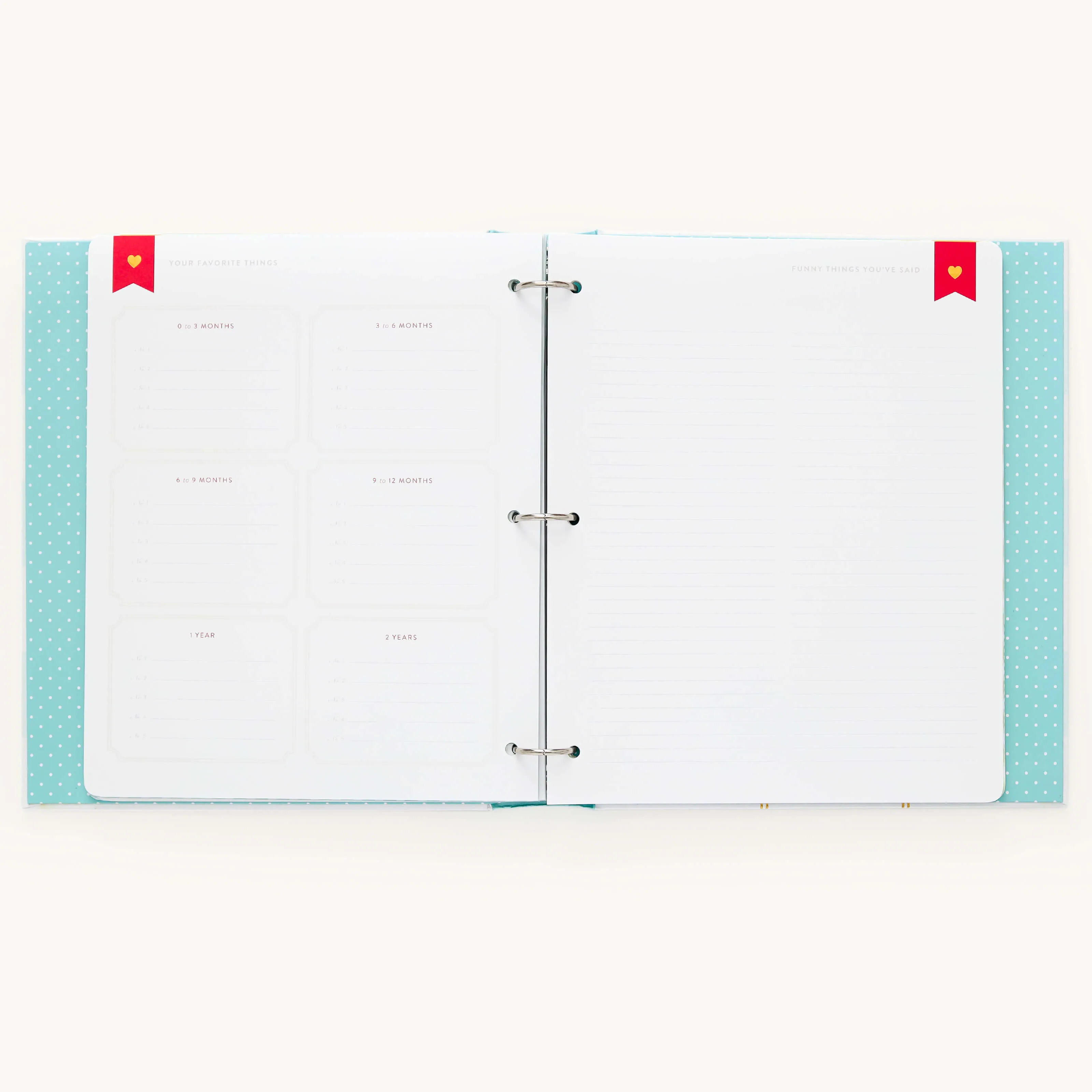 Baby Book - Mint