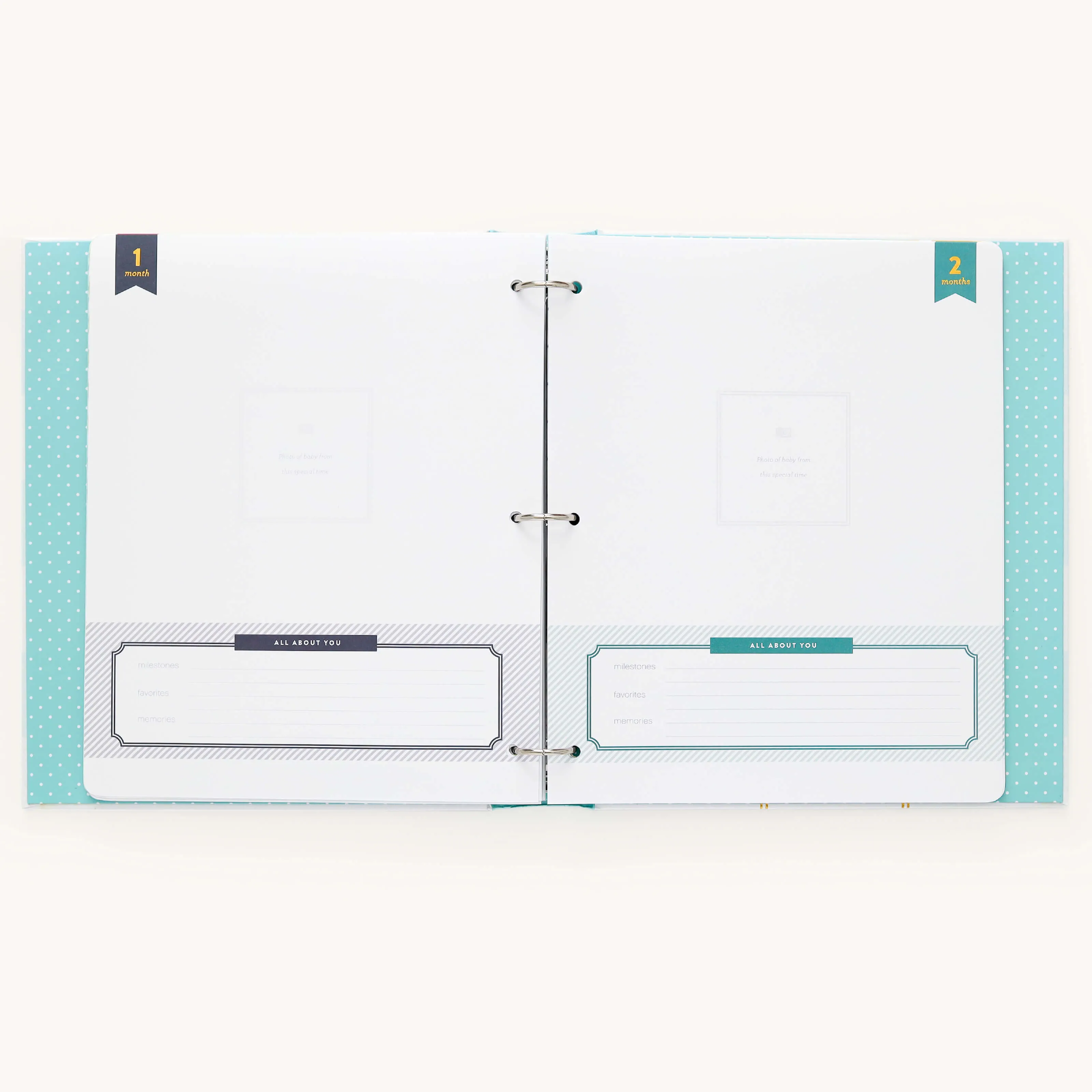 Baby Book - Mint