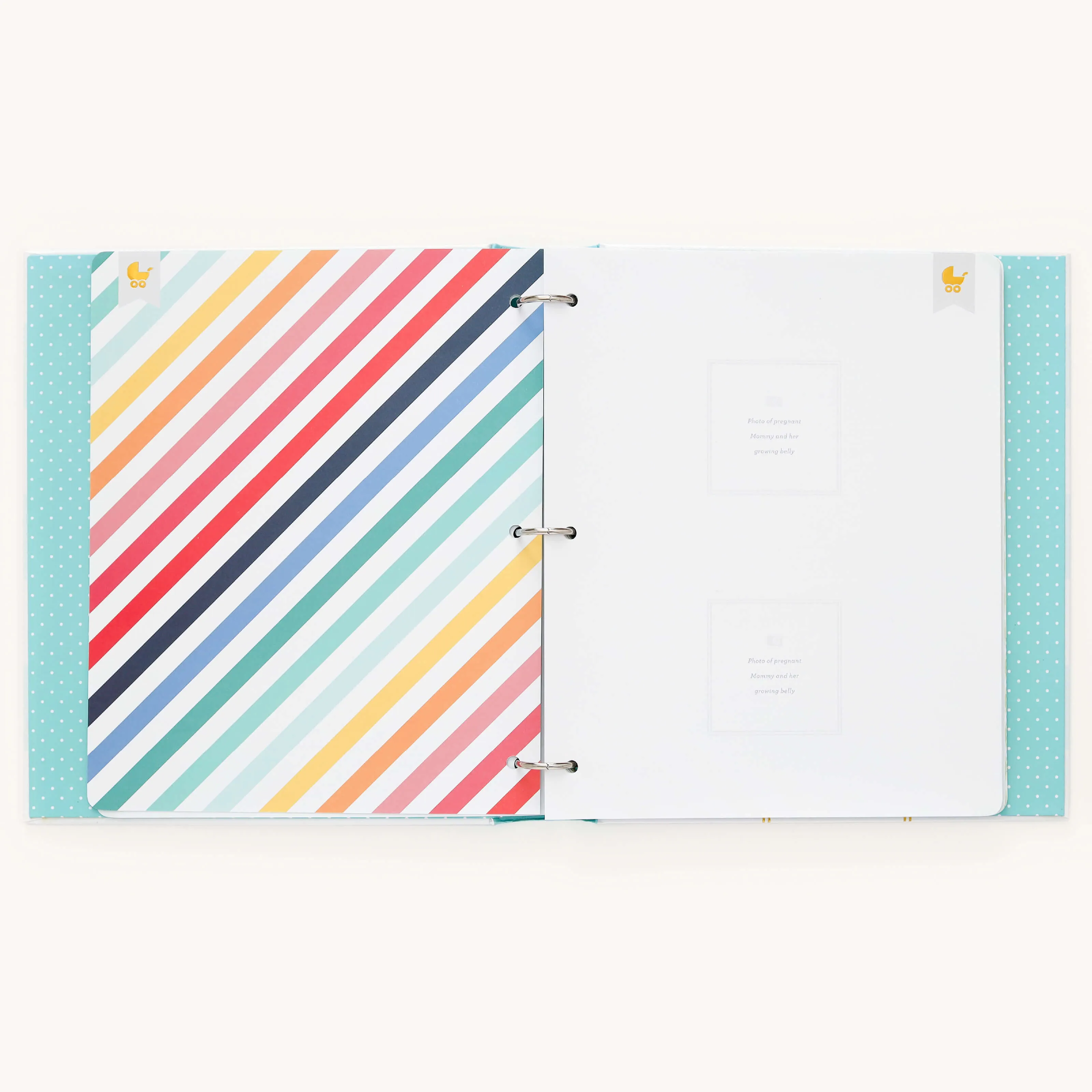 Baby Book - Mint