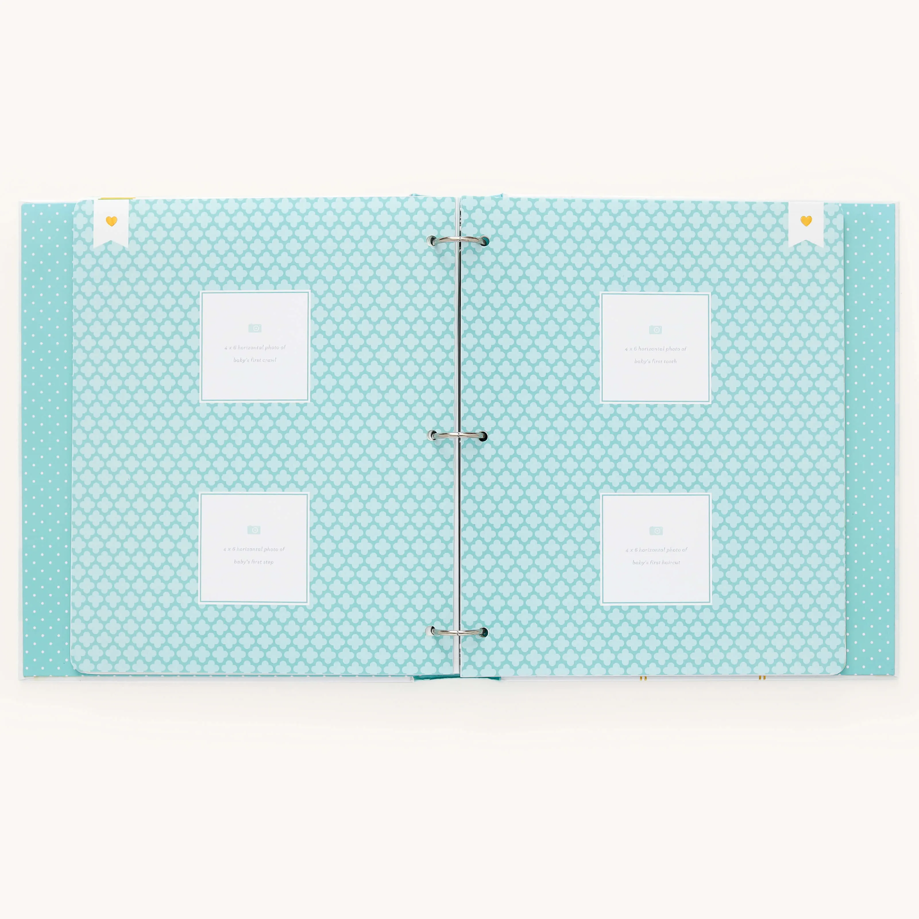 Baby Book - Mint