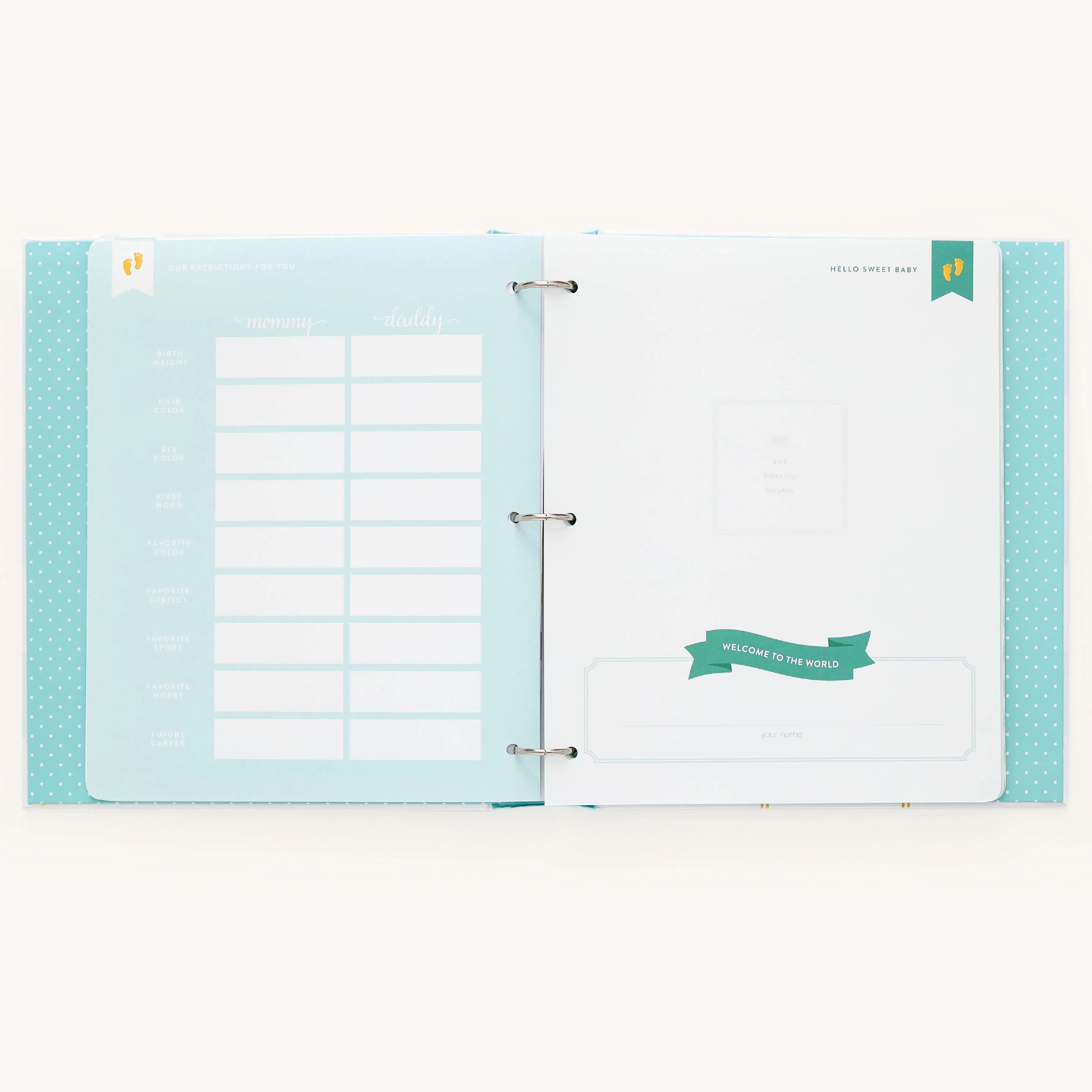 Baby Book - Mint
