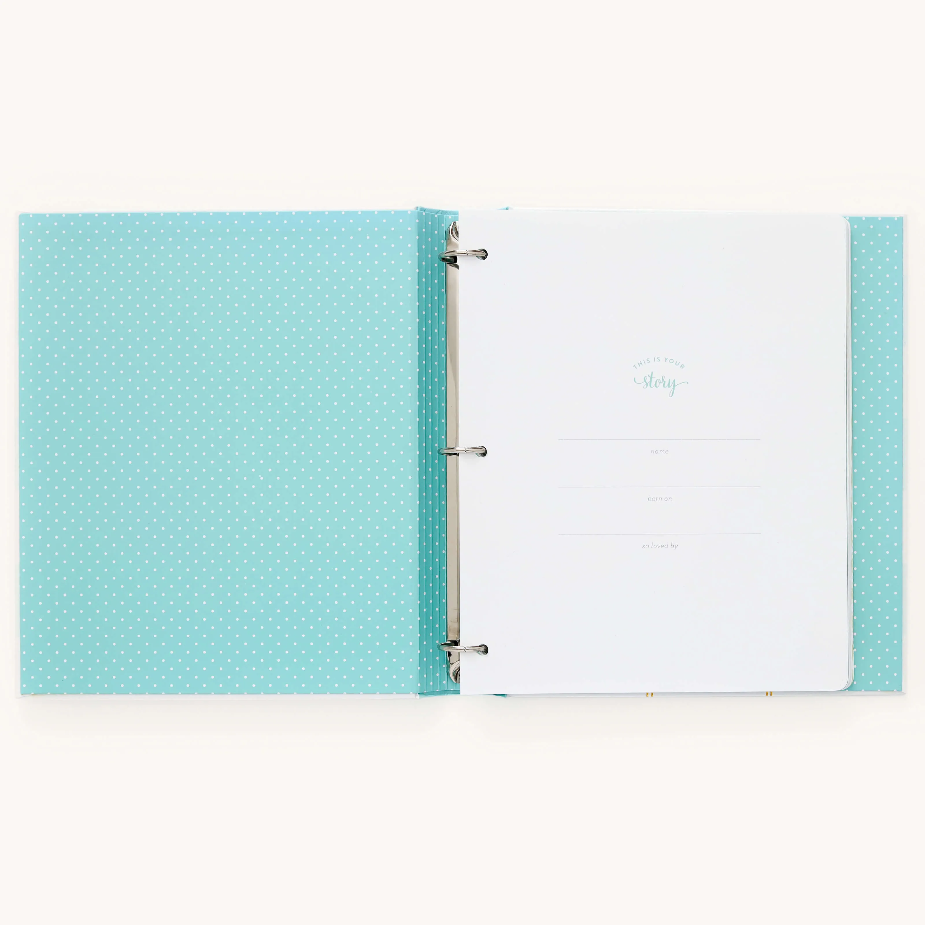 Baby Book - Mint