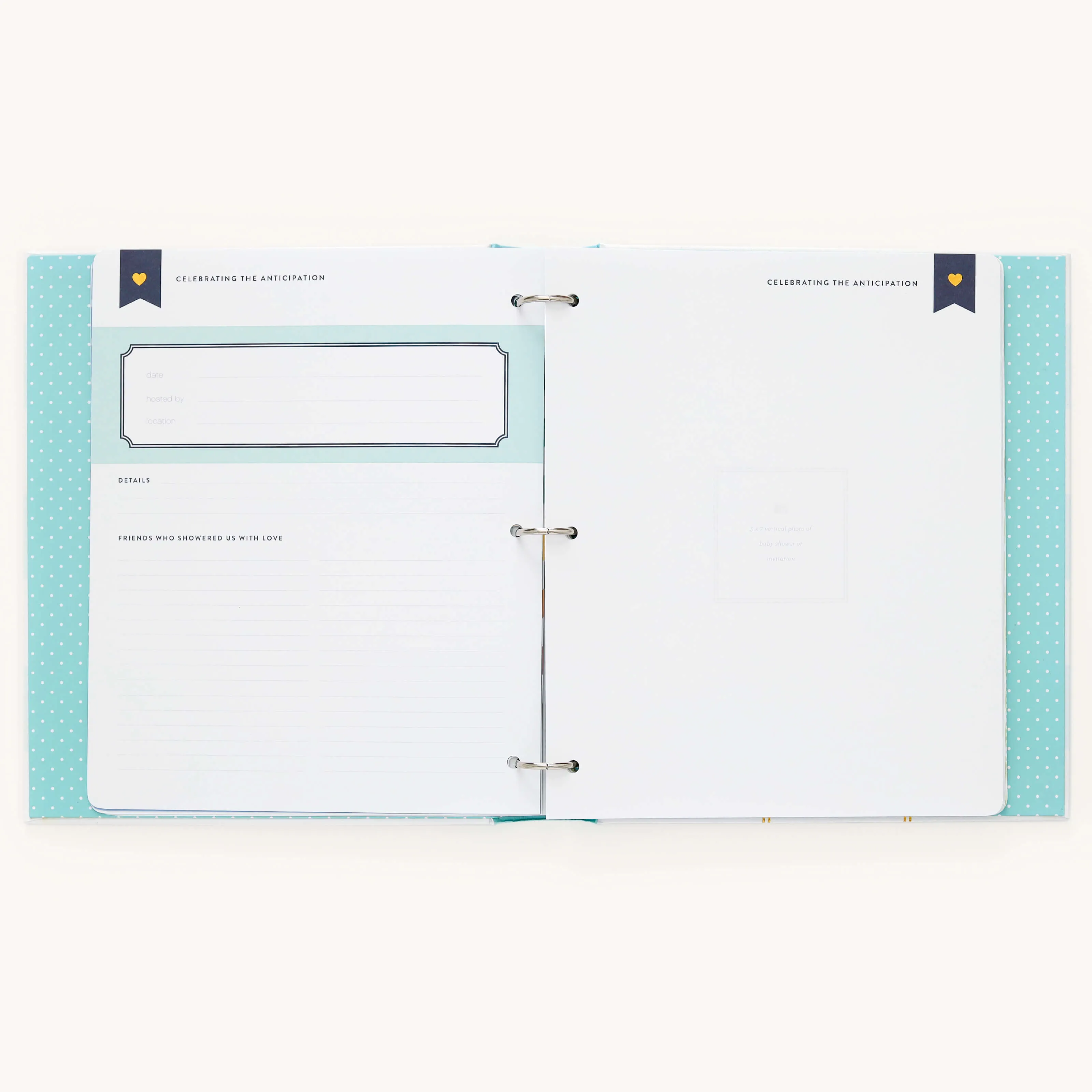Baby Book - Mint
