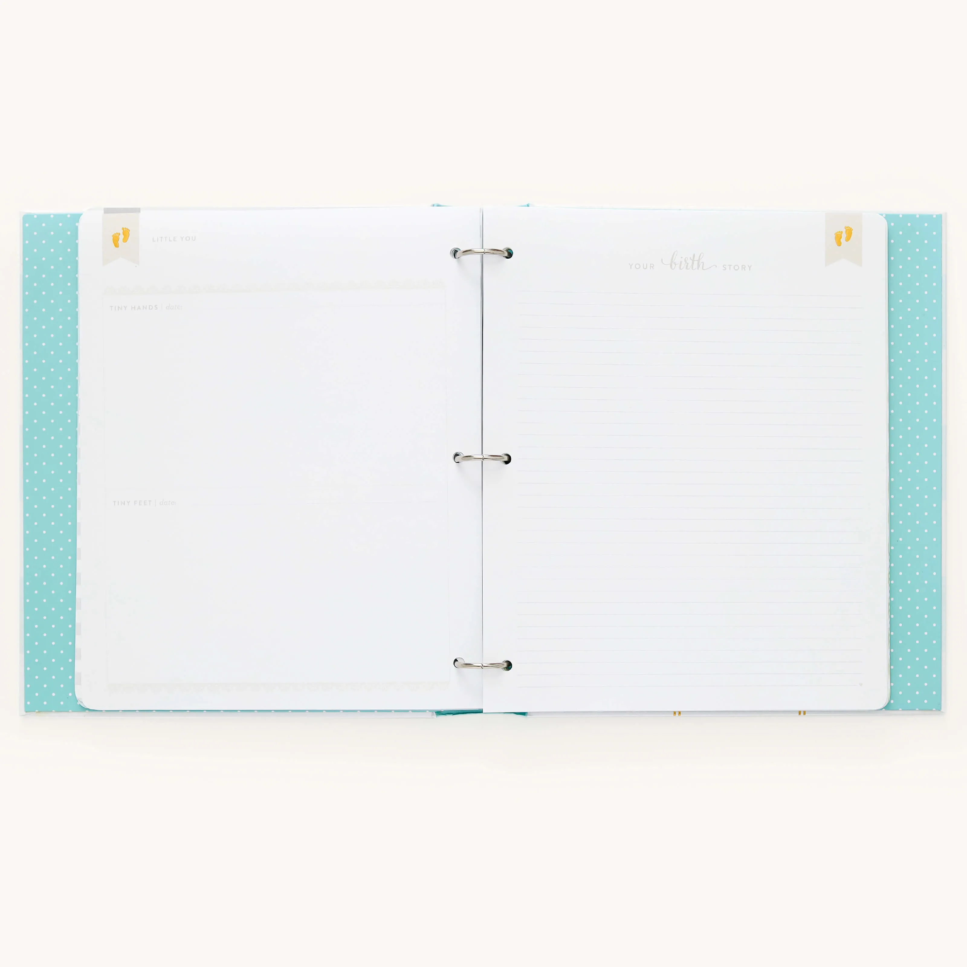 Baby Book - Mint