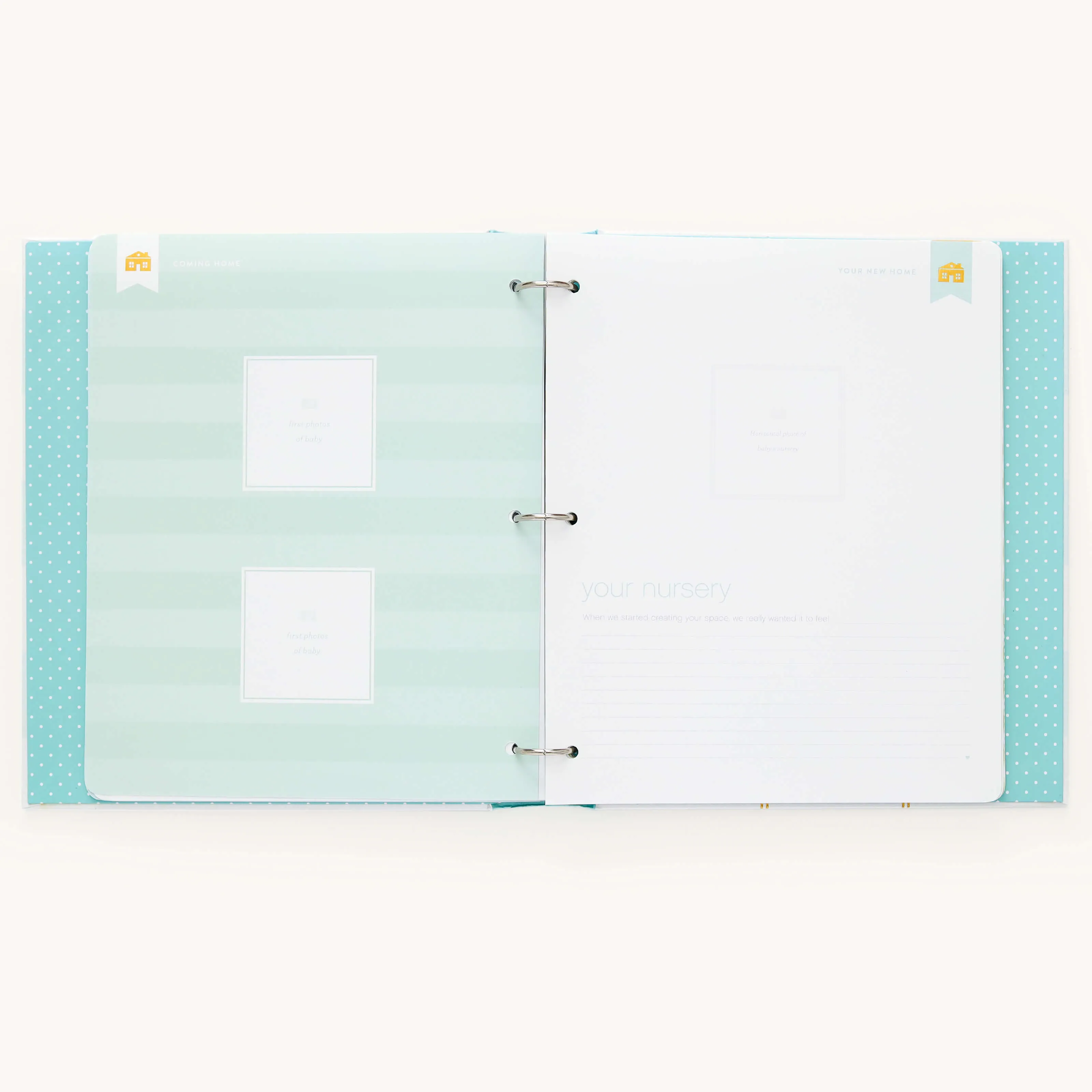 Baby Book - Mint