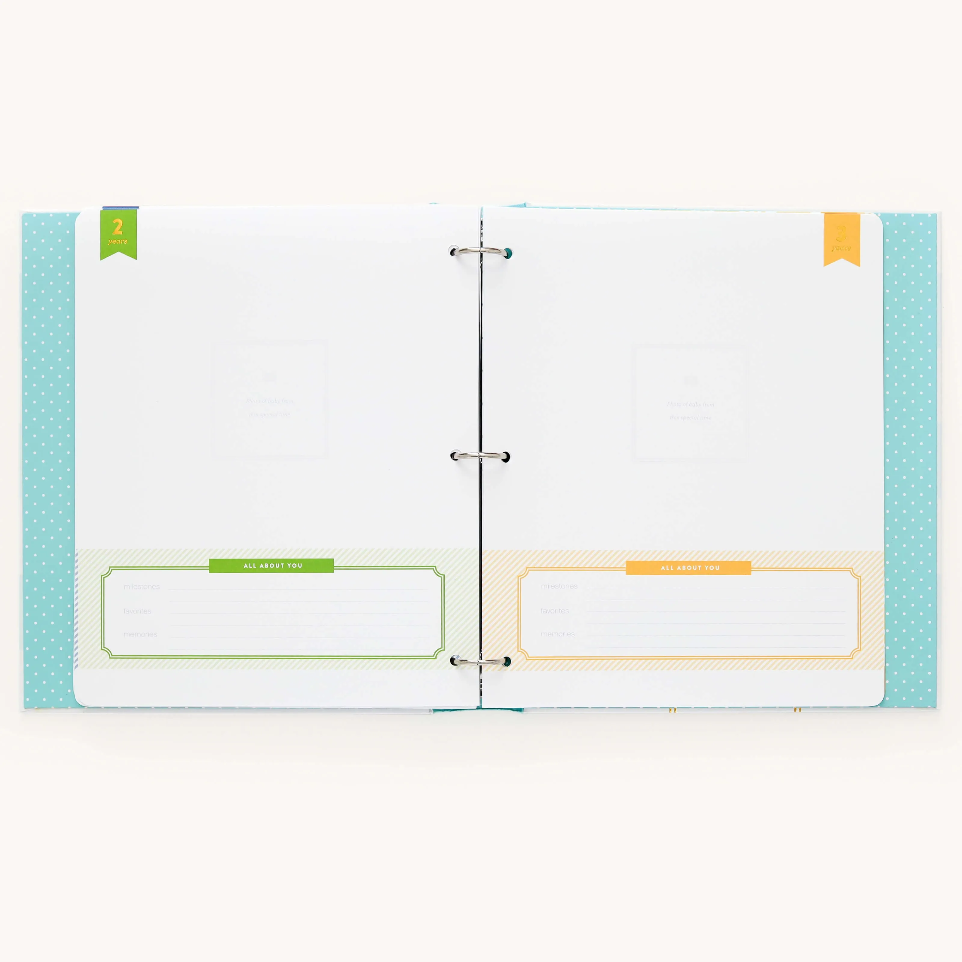 Baby Book - Mint