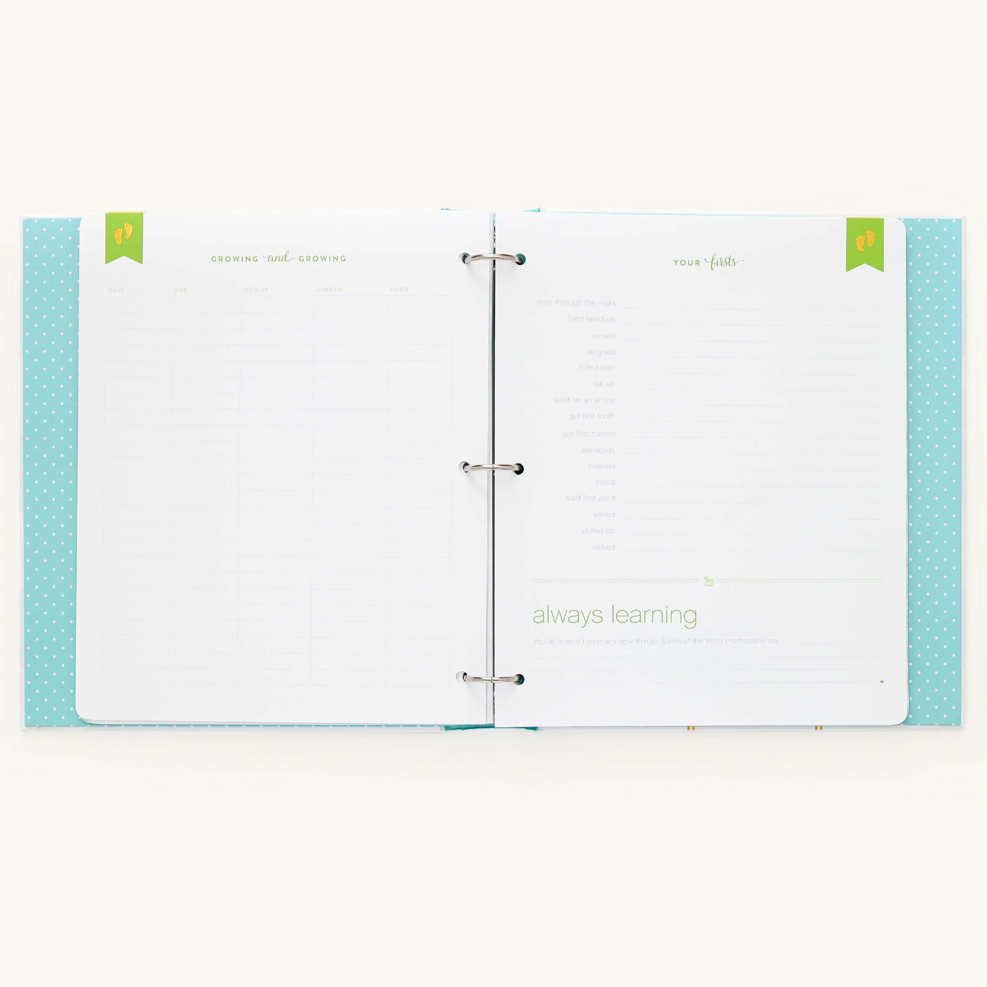 Baby Book - Mint
