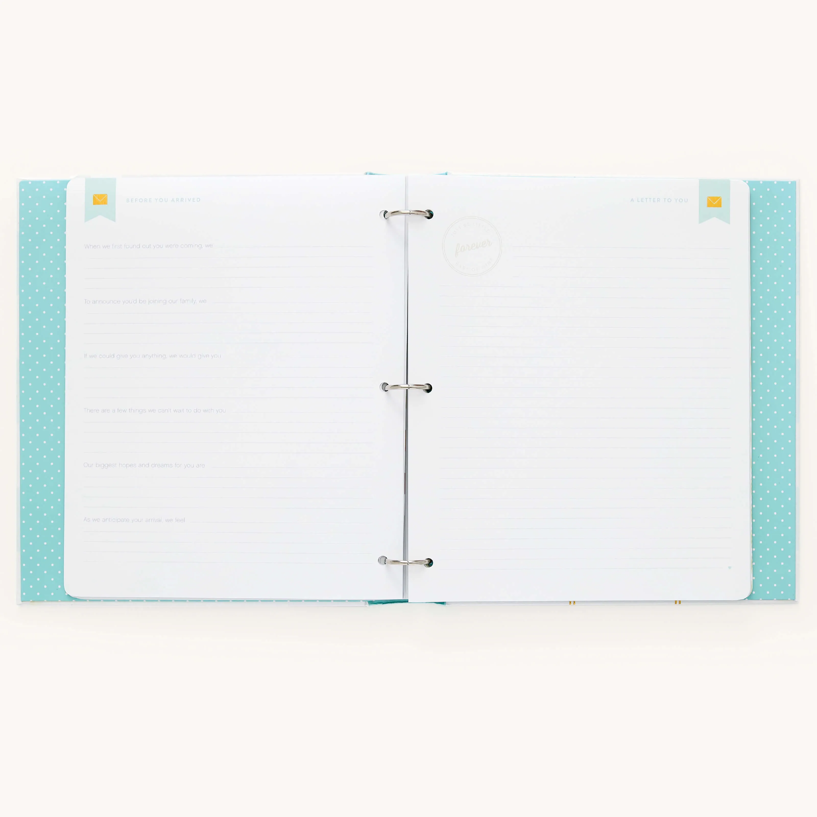 Baby Book - Mint