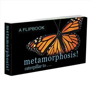 Butterfly Metamorphosis Flipbook