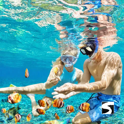 Day trip snorkeling Koh Tao & Koh Nang Yuan