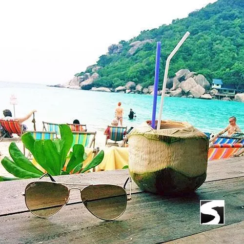 Day trip snorkeling Koh Tao & Koh Nang Yuan