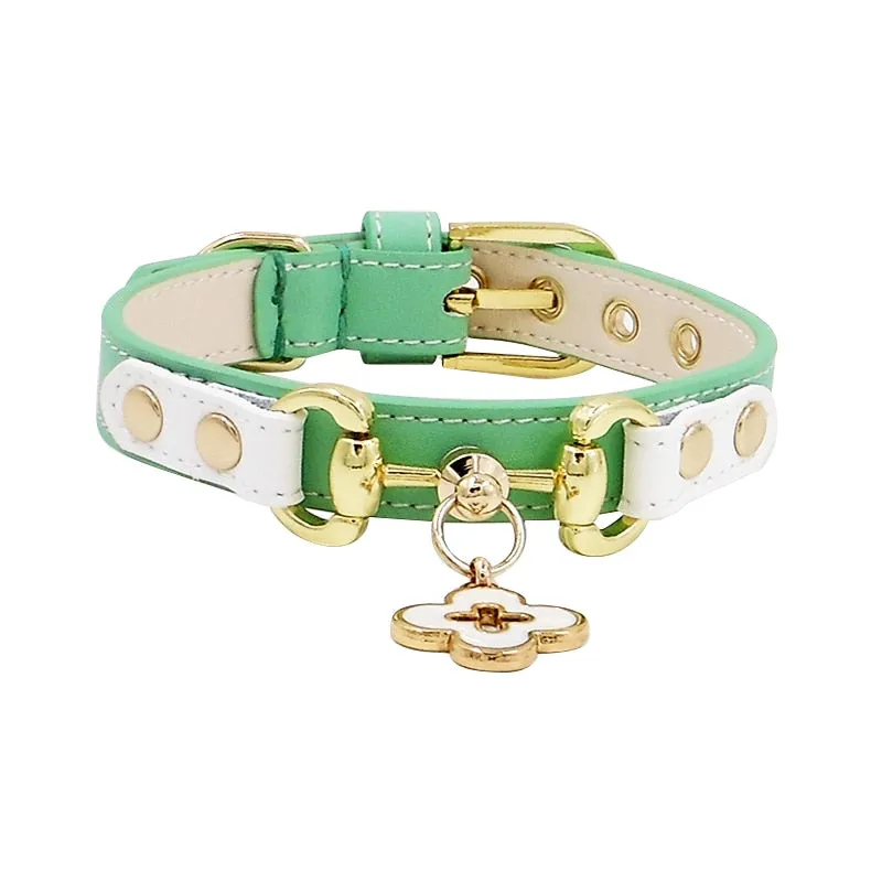 Dog Leather Collar