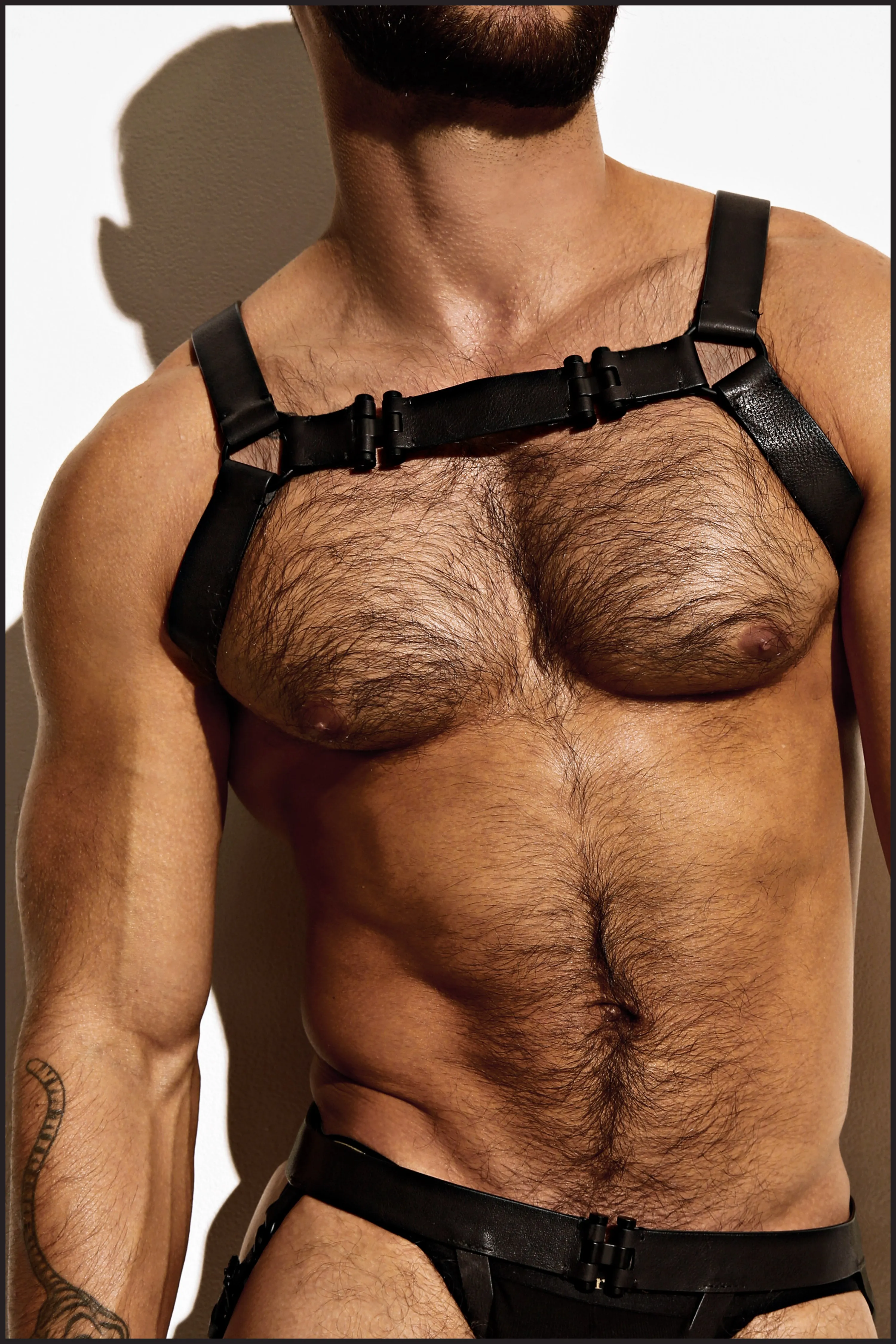 Leather Chest Harness