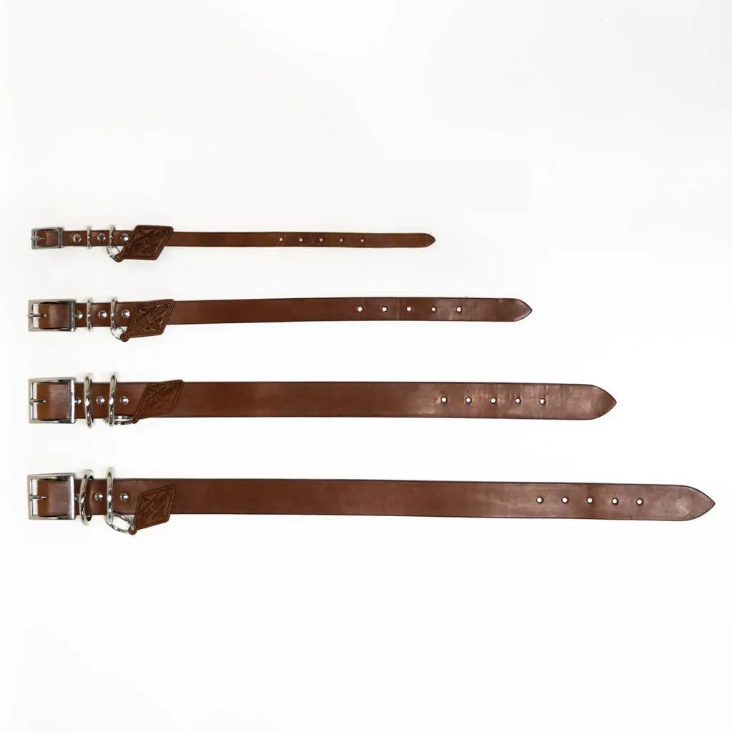 Leather Dog Collar - Buck Brown