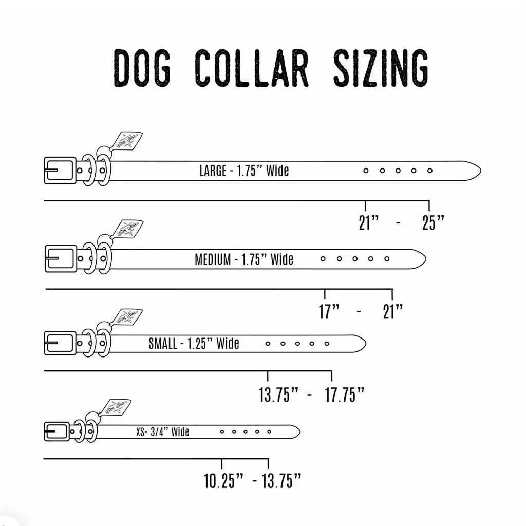 Leather Dog Collar - Buck Brown