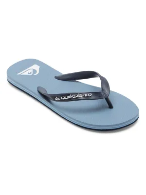 Quiksilver Men's Molokai Core Flip Flops