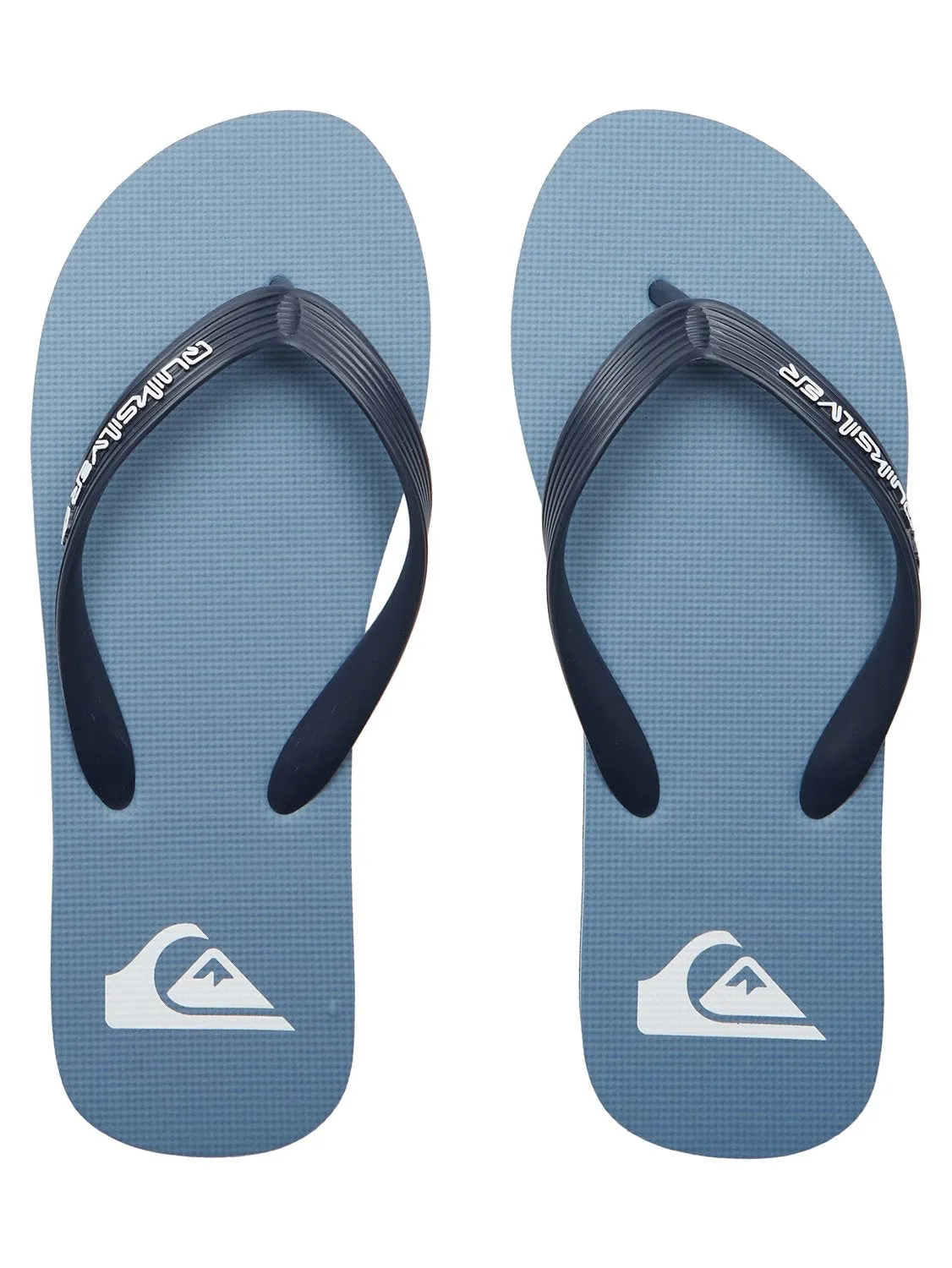 Quiksilver Men's Molokai Core Flip Flops