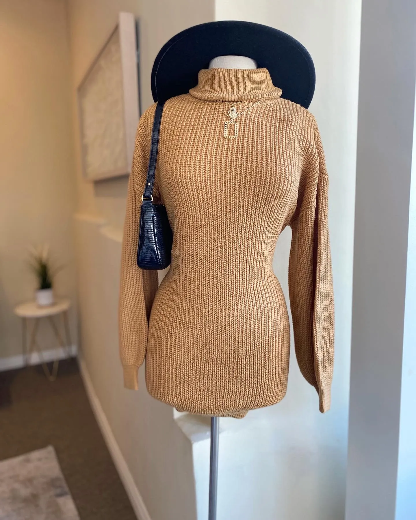 Turtle Neck Sweater Dress