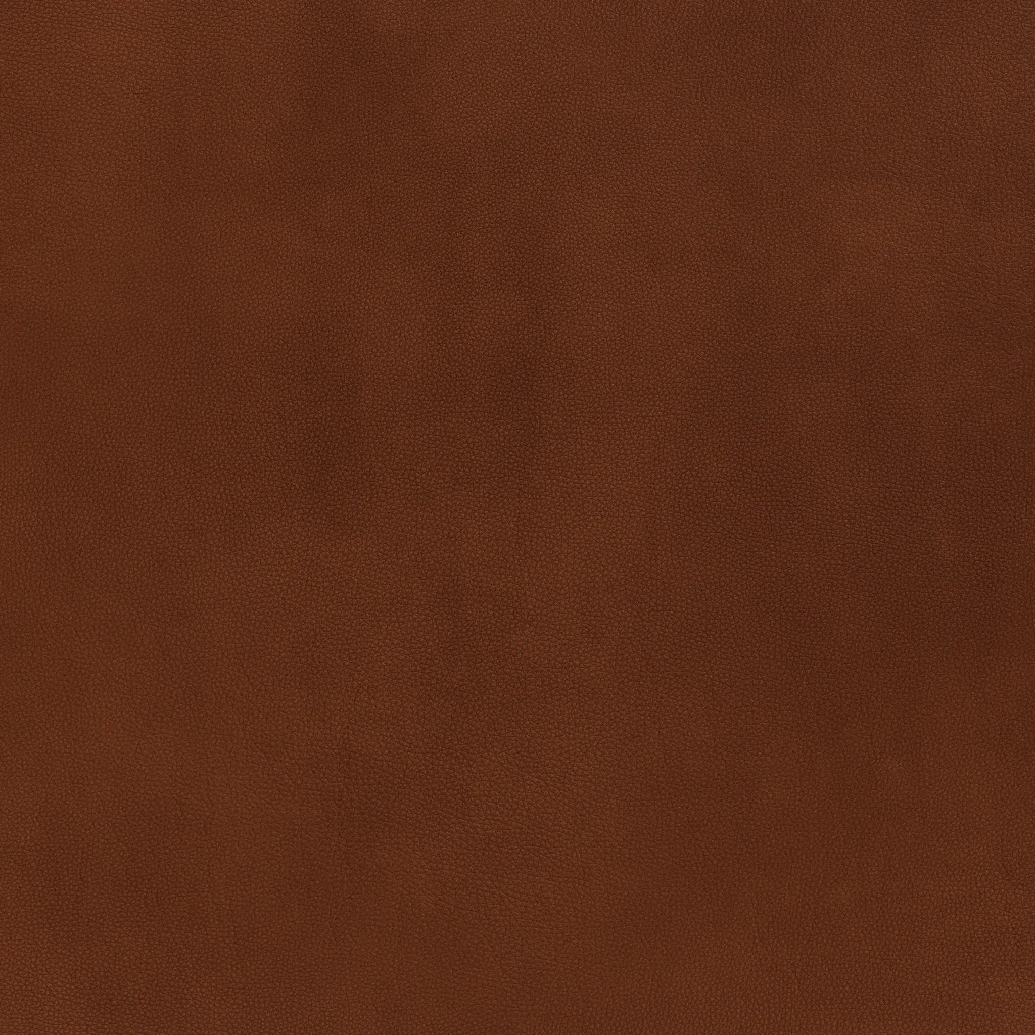 Wallace Leather Raf Condo Sofa