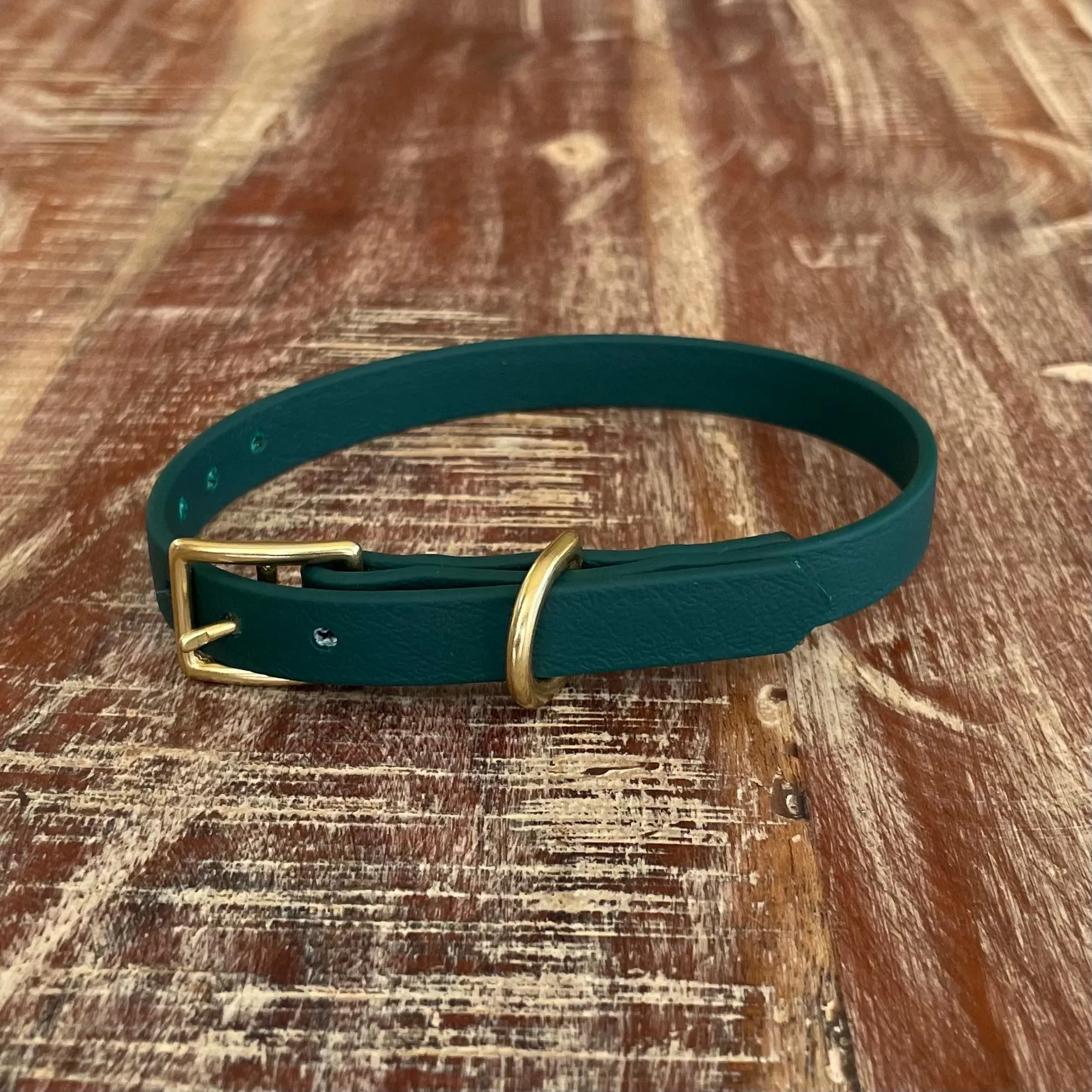 Waterproof Buckle Collar : Forest   Brass